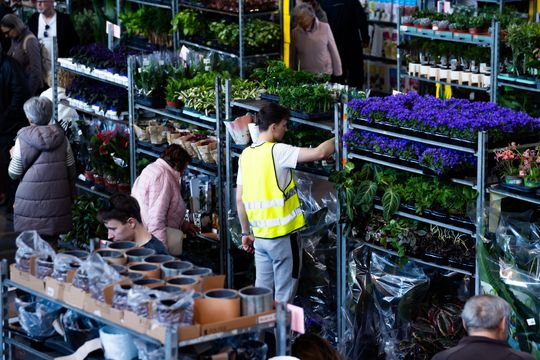 Festiwal roślin w Radomiu (zdjęcia)