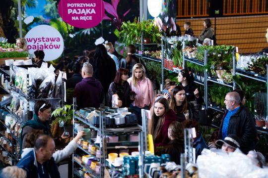 Festiwal roślin w Radomiu (zdjęcia)
