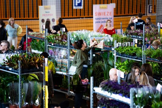 Festiwal roślin w Radomiu (zdjęcia)