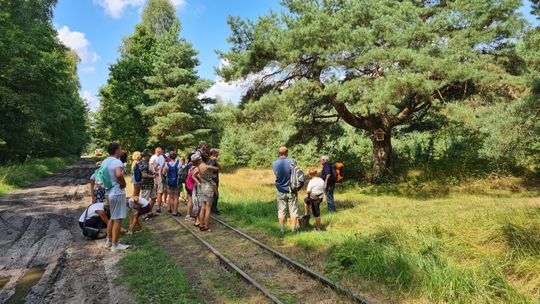 Kolejka wąskotorowa Starachowice - Iłża (archiwalne zdjęcia)