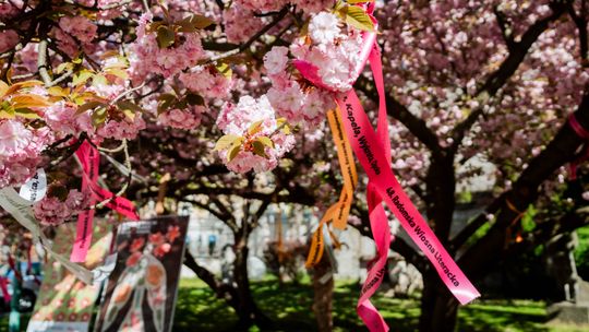 48. Radomska Wiosna Literacka - konferencja (zdjęcia)