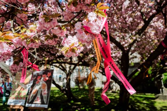 48. Radomska Wiosna Literacka - konferencja (zdjęcia)