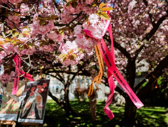 48. Radomska Wiosna Literacka - konferencja (zdjęcia)