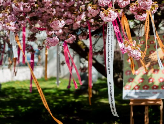 48. Radomska Wiosna Literacka - konferencja (zdjęcia)