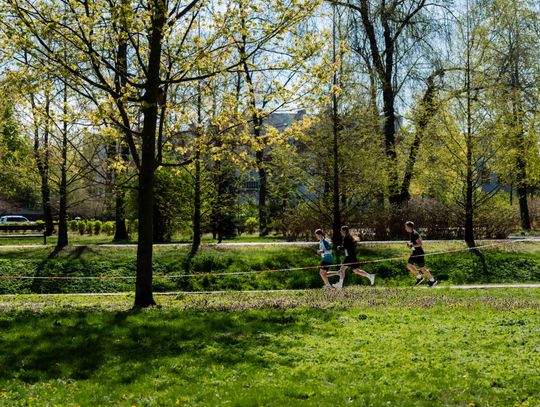 X Bieg Erasmusa (zdjęcia)