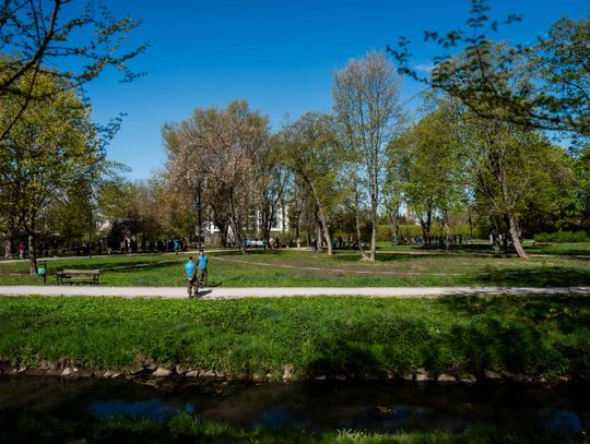 X Bieg Erasmusa (zdjęcia)