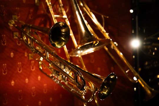 Otwarcie wystawy stałej „Forte, fortissimo” w Muzeum Ludowych Instrumentów Muzycznych w Szydłowcu (zdjęcia)