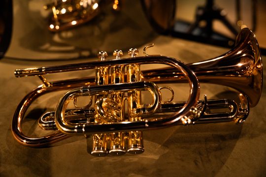 Otwarcie wystawy stałej „Forte, fortissimo” w Muzeum Ludowych Instrumentów Muzycznych w Szydłowcu (zdjęcia)
