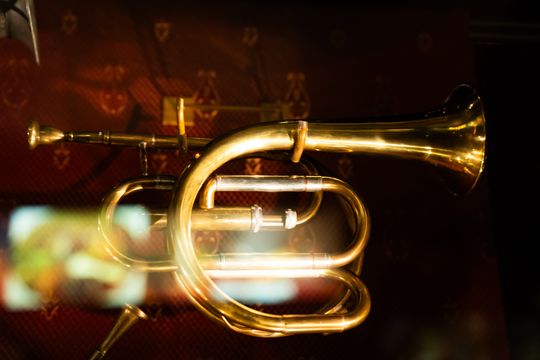 Otwarcie wystawy stałej „Forte, fortissimo” w Muzeum Ludowych Instrumentów Muzycznych w Szydłowcu (zdjęcia)