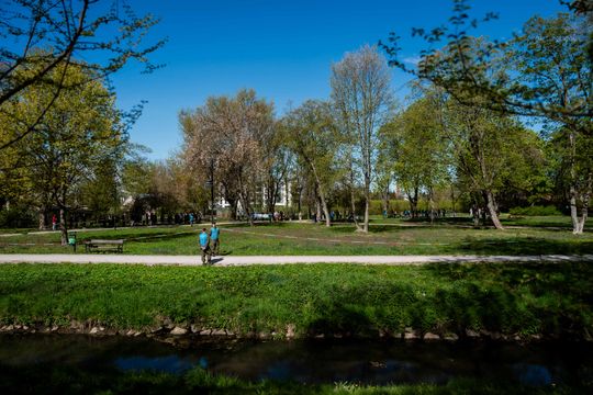 X Bieg Erasmusa (zdjęcia)