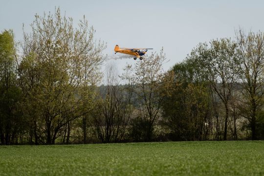 Piknik rodzinny wraz z pokazami lotniczymi na Lotnisku w Piastowie (zdjęcia)