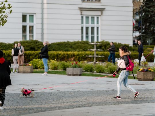 Minuta ciszy dla posła Łukasza Litewki (zdjęcia)