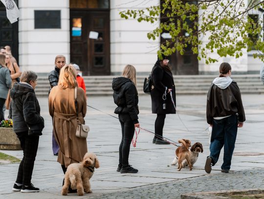 Minuta ciszy dla posła Łukasza Litewki (zdjęcia)
