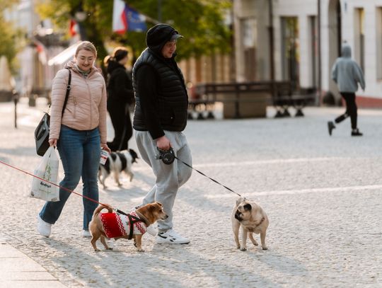 Minuta ciszy dla posła Łukasza Litewki (zdjęcia)