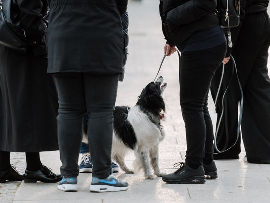 Minuta ciszy dla posła Łukasza Litewki (zdjęcia)
