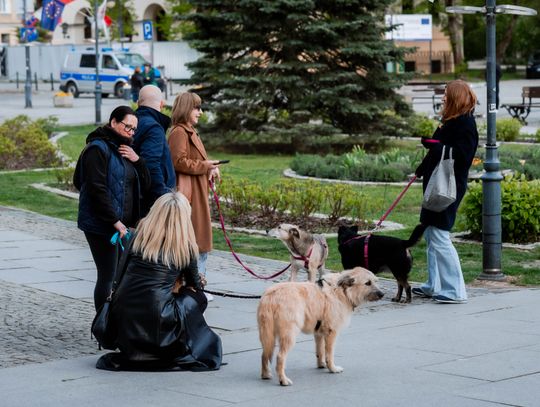 Minuta ciszy dla posła Łukasza Litewki (zdjęcia)