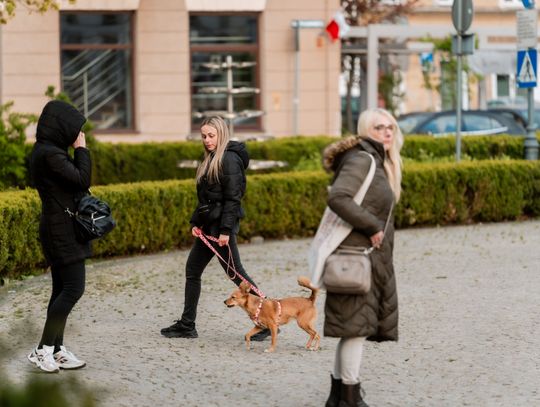 Minuta ciszy dla posła Łukasza Litewki (zdjęcia)