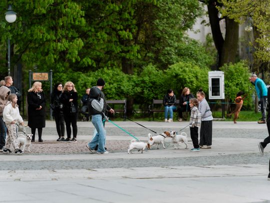 Minuta ciszy dla posła Łukasza Litewki (zdjęcia)