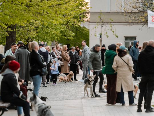 Minuta ciszy dla posła Łukasza Litewki (zdjęcia)