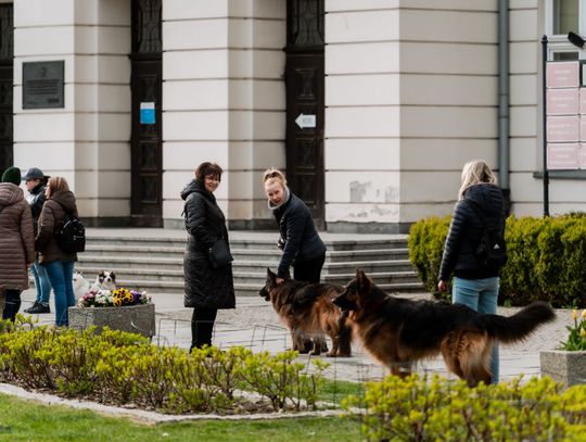 Minuta ciszy dla posła Łukasza Litewki (zdjęcia)