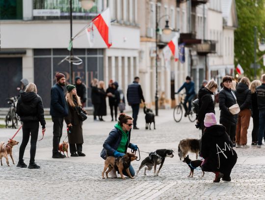Minuta ciszy dla posła Łukasza Litewki (zdjęcia)