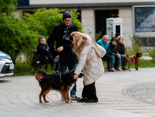 Minuta ciszy dla posła Łukasza Litewki (zdjęcia)