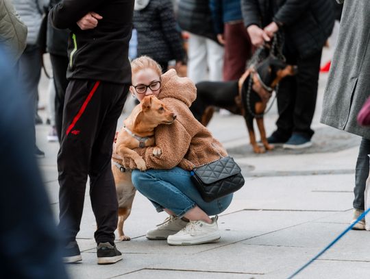 Minuta ciszy dla posła Łukasza Litewki (zdjęcia)