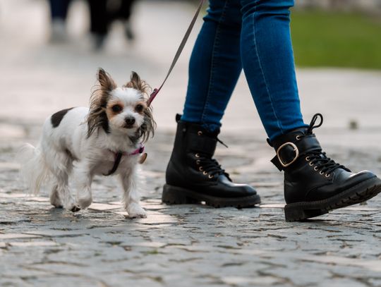 Minuta ciszy dla posła Łukasza Litewki (zdjęcia)