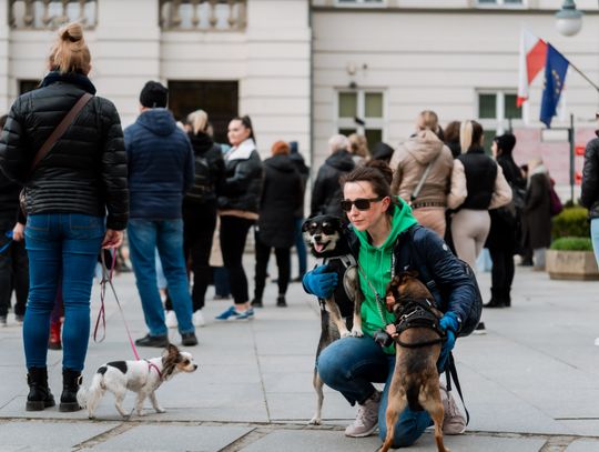 Minuta ciszy dla posła Łukasza Litewki (zdjęcia)