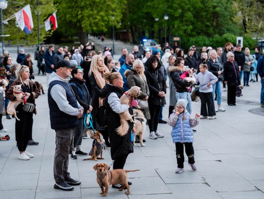 Minuta ciszy dla posła Łukasza Litewki (zdjęcia)