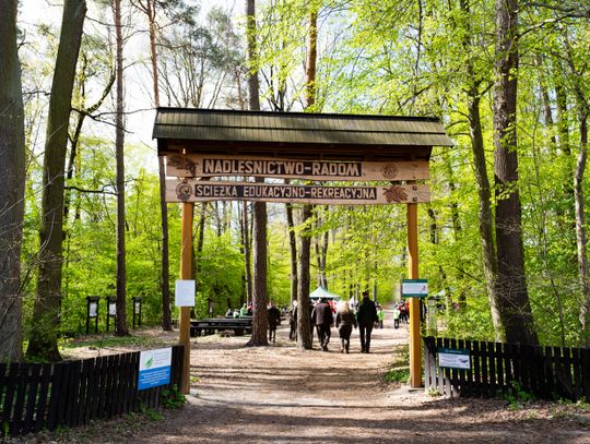 Święto sadzenia lasu (zdjęcia)