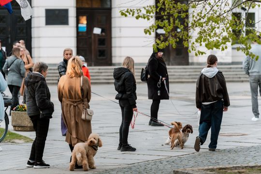 Minuta ciszy dla posła Łukasza Litewki (zdjęcia)
