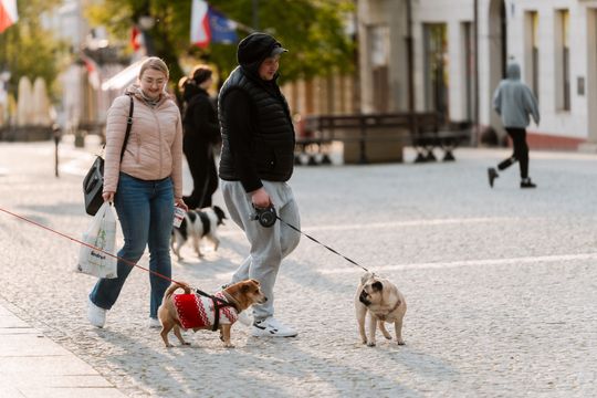 Minuta ciszy dla posła Łukasza Litewki (zdjęcia)