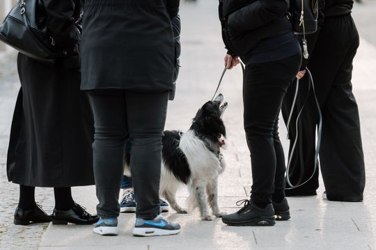 Minuta ciszy dla posła Łukasza Litewki (zdjęcia)