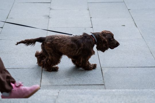 Minuta ciszy dla posła Łukasza Litewki (zdjęcia)