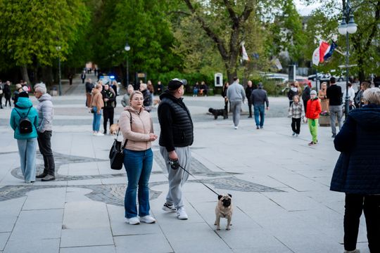 Minuta ciszy dla posła Łukasza Litewki (zdjęcia)