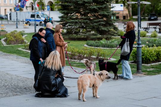 Minuta ciszy dla posła Łukasza Litewki (zdjęcia)