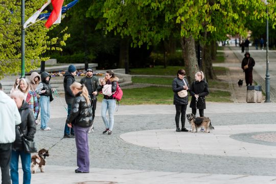 Minuta ciszy dla posła Łukasza Litewki (zdjęcia)