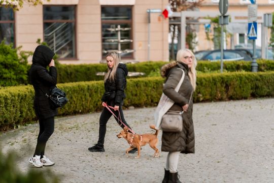 Minuta ciszy dla posła Łukasza Litewki (zdjęcia)