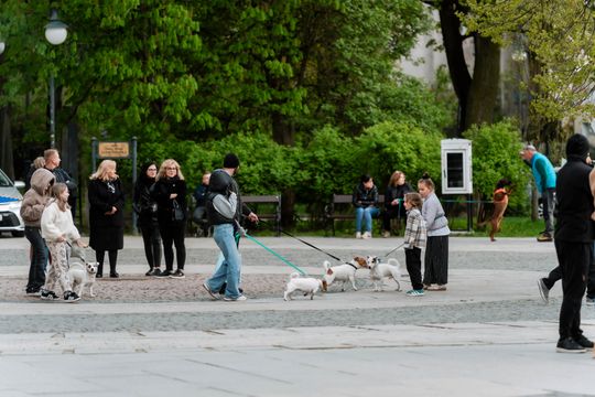 Minuta ciszy dla posła Łukasza Litewki (zdjęcia)