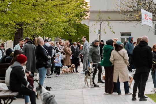 Minuta ciszy dla posła Łukasza Litewki (zdjęcia)