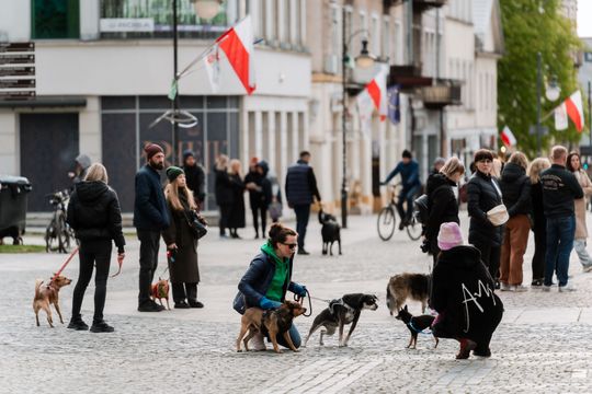 Minuta ciszy dla posła Łukasza Litewki (zdjęcia)