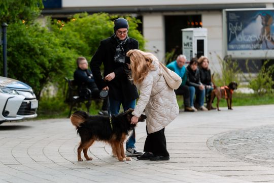 Minuta ciszy dla posła Łukasza Litewki (zdjęcia)
