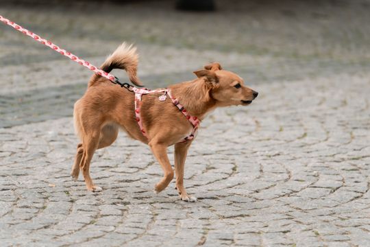 Minuta ciszy dla posła Łukasza Litewki (zdjęcia)