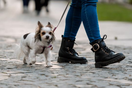Minuta ciszy dla posła Łukasza Litewki (zdjęcia)