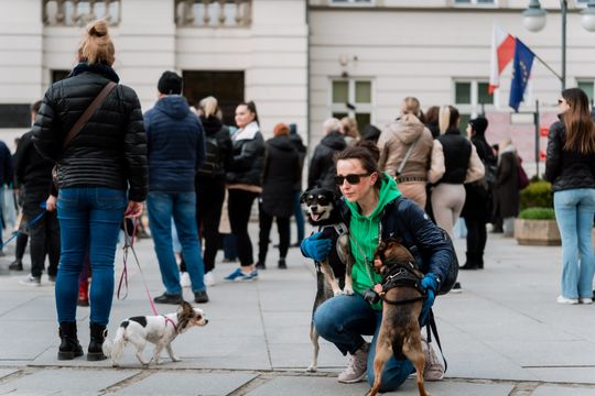Minuta ciszy dla posła Łukasza Litewki (zdjęcia)