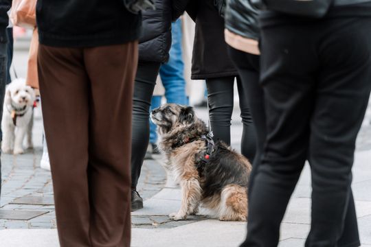 Minuta ciszy dla posła Łukasza Litewki (zdjęcia)