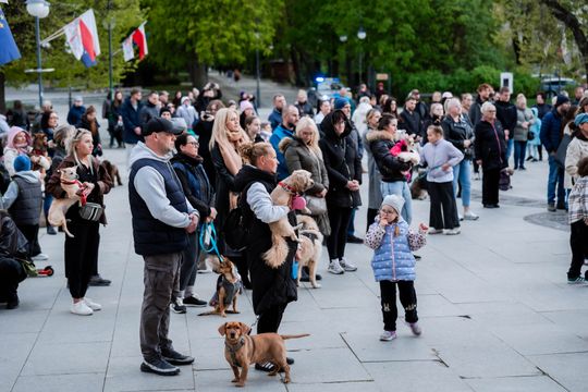 Minuta ciszy dla posła Łukasza Litewki (zdjęcia)