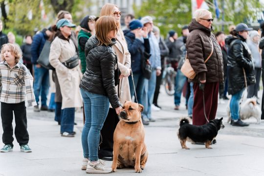 Minuta ciszy dla posła Łukasza Litewki (zdjęcia)