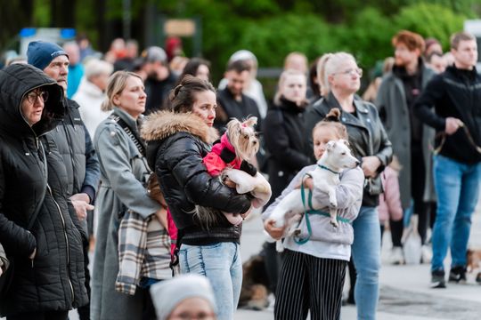 Minuta ciszy dla posła Łukasza Litewki (zdjęcia)